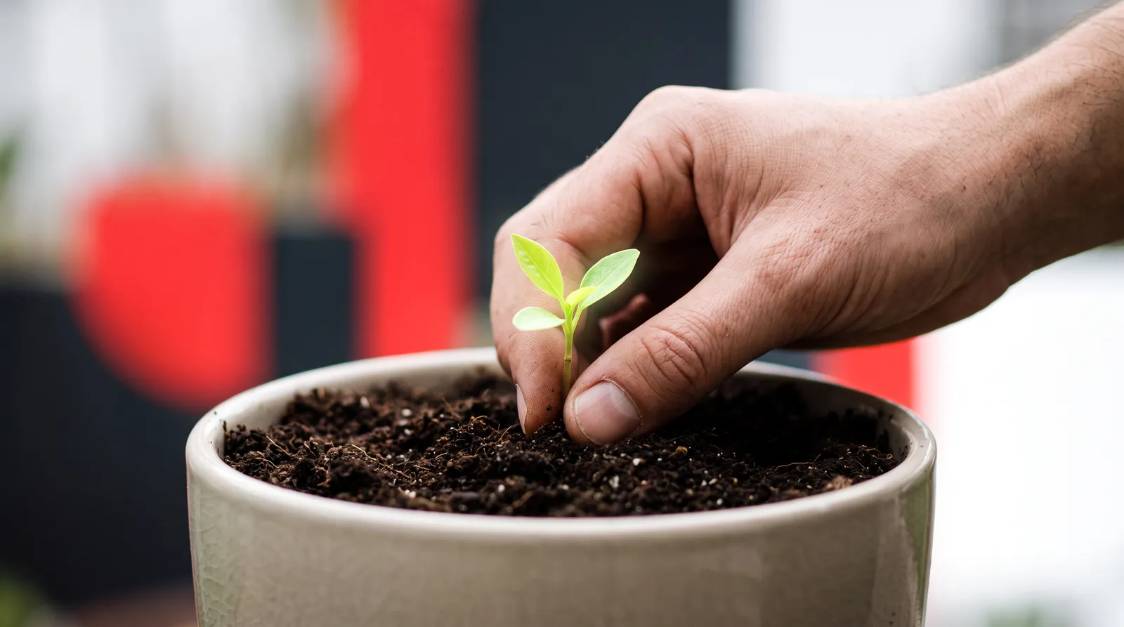 Automatisation marketing pour les associations : augmenter dons, adhésion et fidélité